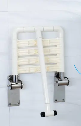 a c/s 6010 type c handrail