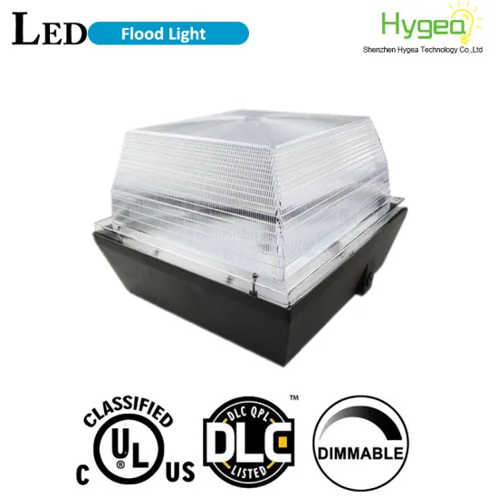 led canopy light 20w dlc