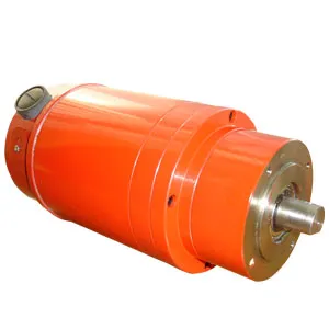DC Planetary Gear Motor