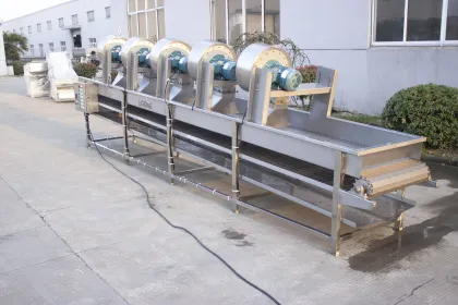 Vegetable and Fruit Cleaning Drying Machine