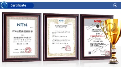 SNR Brand Single Row Cylindrical Roller Bearing N40000S04H100