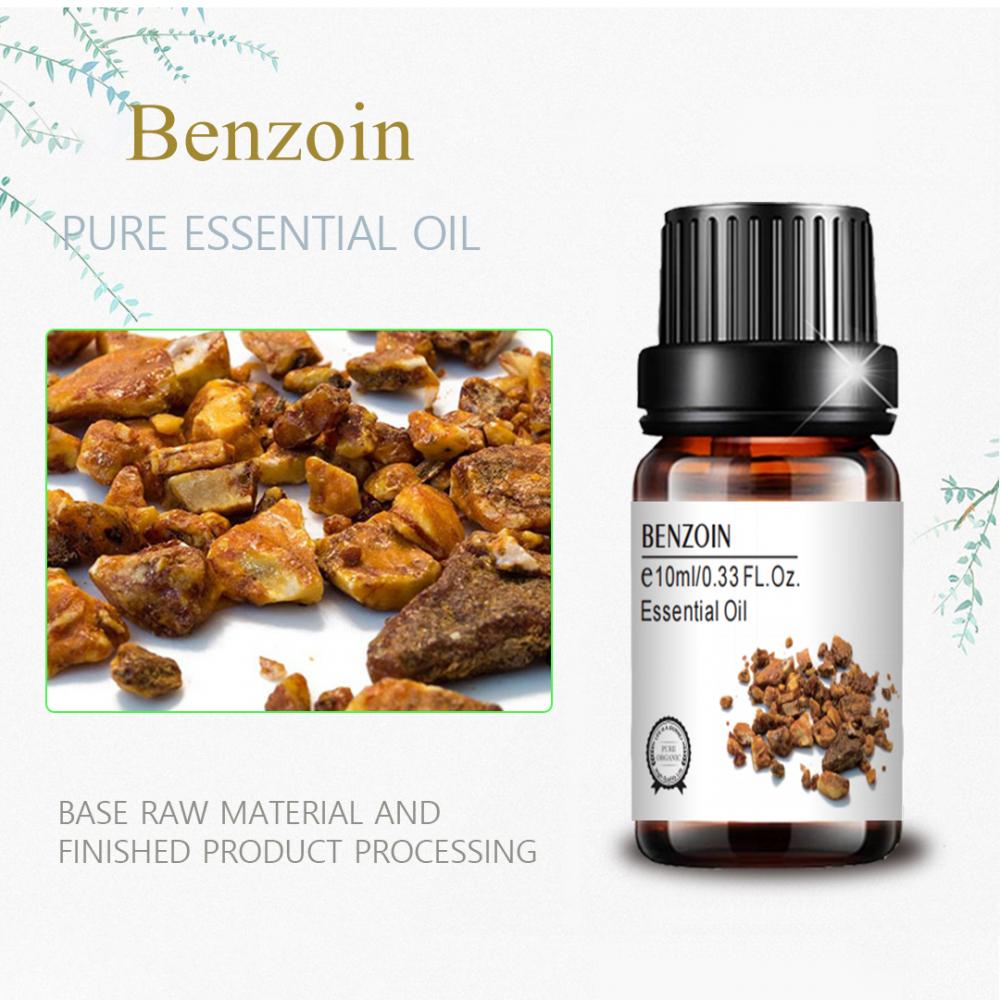 Grade terapêutica de alta qualidade 100% puro 10ml Benzoin Oil