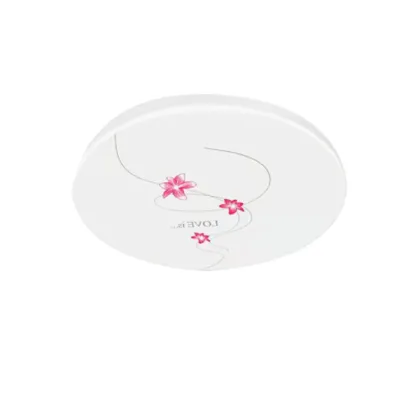 Living room ceiling light