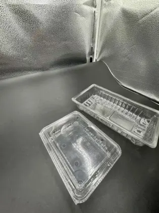 the PET box for meat and vegetale meat plate display and stocking