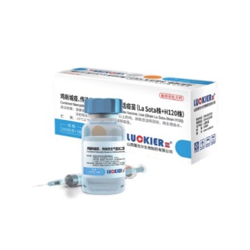 ND+IB Live Vaccine La Sota + H120