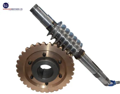 China OEM Transmission Drive CNC Machining Worm Gears Rotary