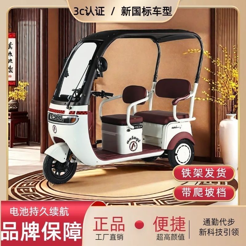 Spacious Electric Tricycle for Leisure and Daily Use