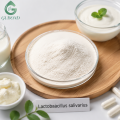 Lactobacillus salivarius para suplementos dietéticos