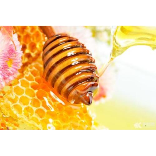 Healthy original pure Bee sunflower honey