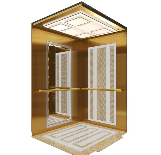 Comfortable And Quite Home Elevator