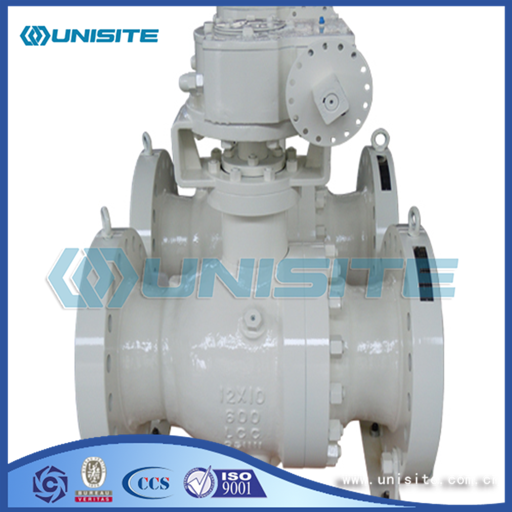 Steel Marine Valve Body