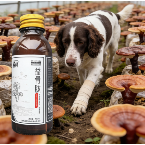 Ενισχυτικό οστών κατοικίδιων ζώων