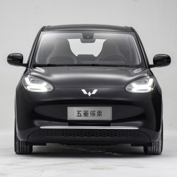 2023 Wuling Binguo Compact EV: 333km Range, 4 Seats, New Energy Electric Vehicle