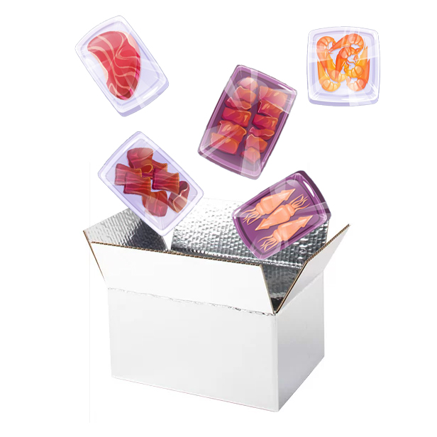 Pequeñas cajas de envío aisladas con aislamiento de 48 horas