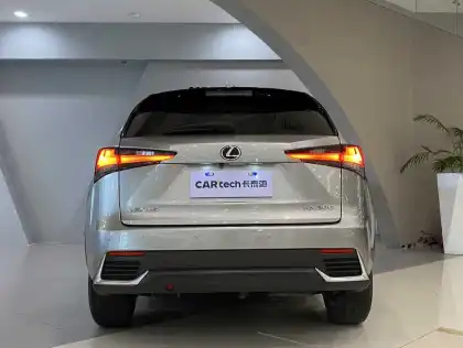 Lexus NX 2020 200 AWD Fengshang