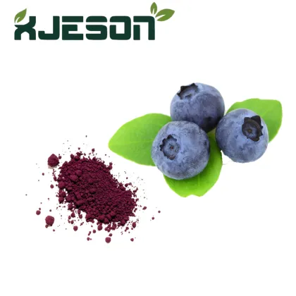 Organic Blueberry Fruit Powder