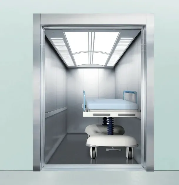 Panoramic Observation Medical Lift System
