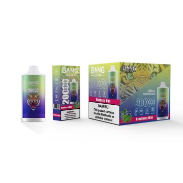 20000 Bang Leader 20k Puff Vape