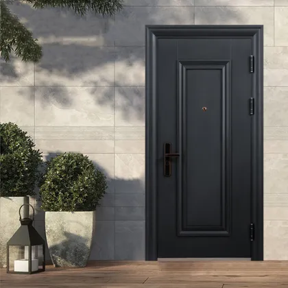 Modern Steel Door Design for Hotels and Apartments