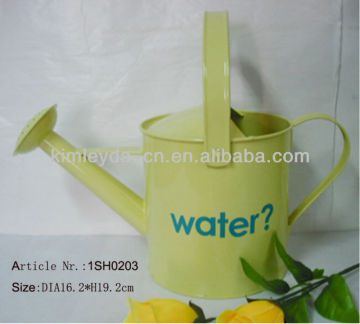 5L Galvanized Garden Watering Can Green