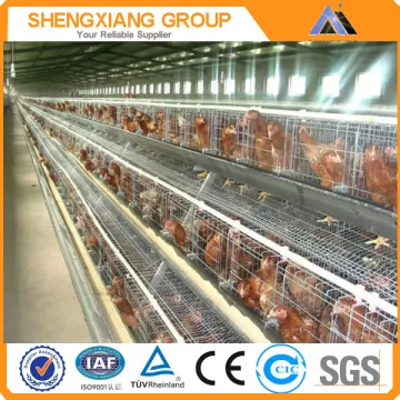 Chicken layer cage/Chicken cage for sale