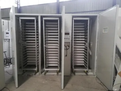 Large Capacity Fully Automatic Duck and Chicken Hatching Machines - 200 to 10000 Egg Incubators