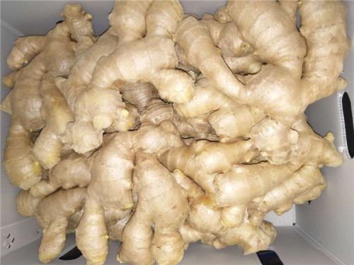 250g air dried ginger