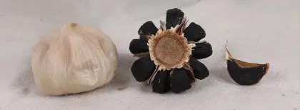 Designer Foods Program for black garlic