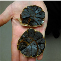 Organic and Free of Pollution Black Garlic