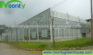 Venlo Glass greenhouse