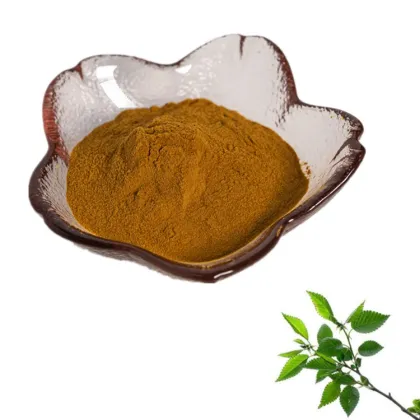 Factory supply high quality Elm extract powder / Elm bark extract powder