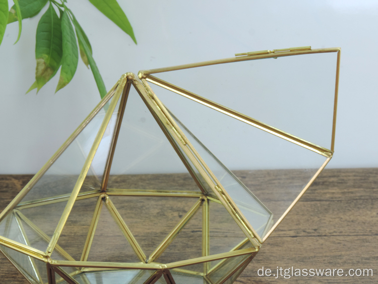 Spezielle Hausgartendekoration Geometrisches Terrariumglas