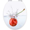 MDF Toilet Seat with cherries pattern