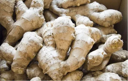 Dehydrated And Salted Dried Ginger