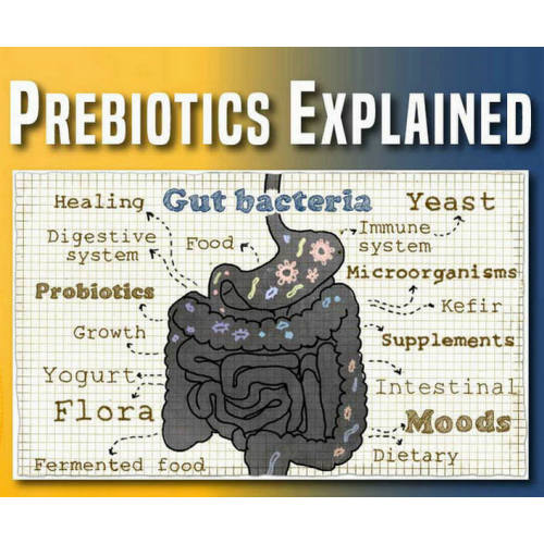 China Prebiotics Xylooligosaccharide powder Regulating intestinal Manufactory