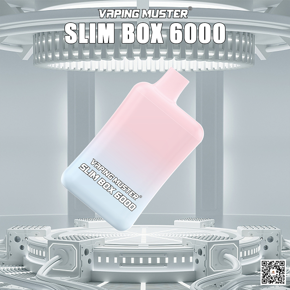 Slim Box Vape 6000 Puff