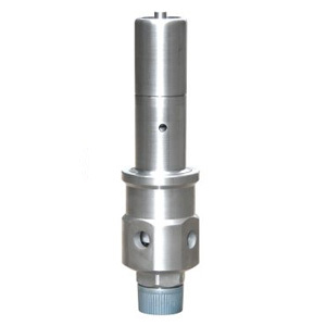 Screw spring safety valve
