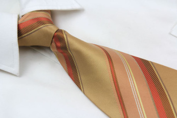 Men's 100% Woven Polyester Neck Ties