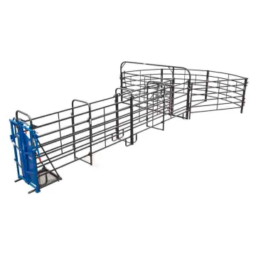 Cattle abattoir lairage