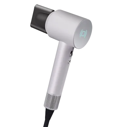 hair dryer professional salon