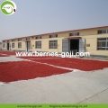 Low Sugar Wholesale Dry Low Pesticide Goji Berries