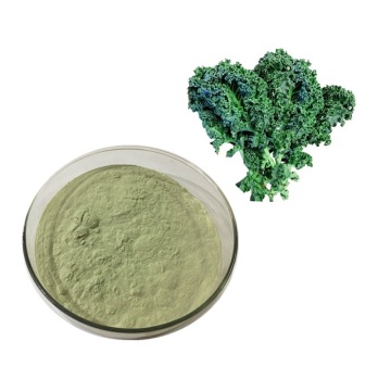 Kale Powder Natural Wholesale 100% Pure Health Care Plant Extract Food Grade