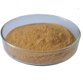 supply Freeze dried Aloe vera extract powder