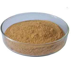 Green Tea Extract powder Catechins/ L-Theanine/ Polyphenol