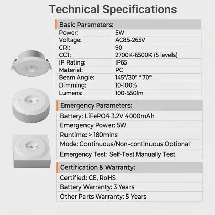 IP65 Emergency downlight
