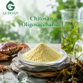 Ingrediente promotor del crecimiento vegetal de oligosacárido de quitosano