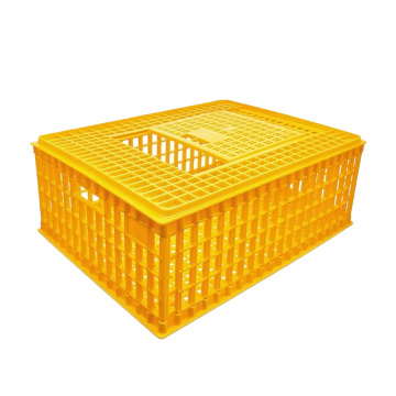 Plastikbox von Geflügelträger Kiste