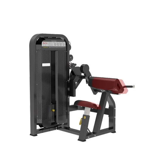 Commercial Gym Seated Biceps/Triceps Curl 2 In 1