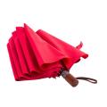 Unisex Auto Open 2 Folding Umbrella Plain Colored