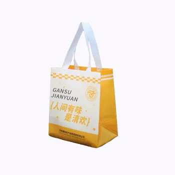 Low Cost Custom Eco-Friendly Foldable PP Non Woven Shopping Bags with Print